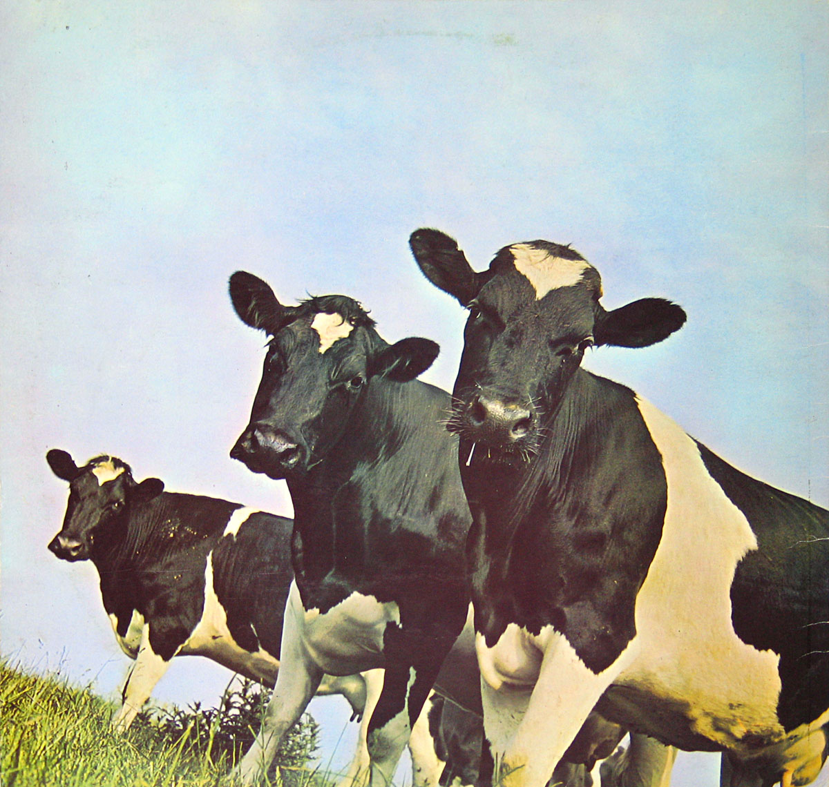 High Resolution Photo #2 PINK FLOYD Atom Heart   UKA4 